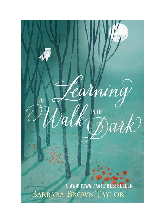 Learning to Walk in the Dark