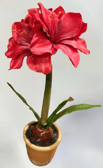 15” Potted Amaryllis